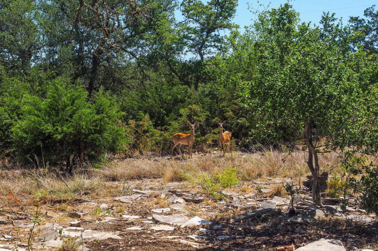 Cozy Kerrville Guest Cottage Near Guadalupe River! Exterior foto